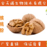 核桃粉-廠家   核桃仁粉  核桃提取物