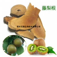 藤梨根提取物-獼猴桃樹根提取物