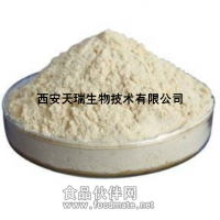 6倍濃縮原汁粉 楊梅粉 楊梅汁粉 鮮果加工