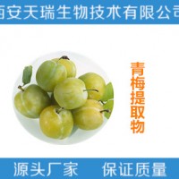 青梅果粉 青梅粉 青梅提取物     現貨