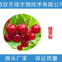 醋栗提取物10:1 醋栗粉 食品原粉