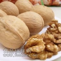 核桃仁提取物   核桃仁浸膏粉   核桃仁濃縮粉