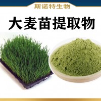 大麥苗提取物 水溶性大麥苗粉 大麥苗青汁粉
