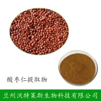 酸棗仁皂甙2% 酸棗仁皂甙 酸棗仁提取物