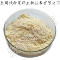 橘子粉 橘子果粉 橘子速溶粉 大量庫存  批發(fā)價(jià)格