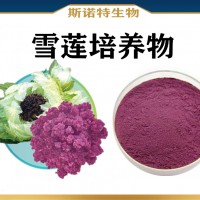 雪蓮培養(yǎng)物 水溶性雪蓮培養(yǎng)物粉 噴霧干燥 新資源食品