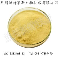 卡瓦內(nèi)酯 卡瓦提取物  大量庫存  批發(fā)價(jià)格