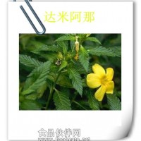 馬齒莧提取物