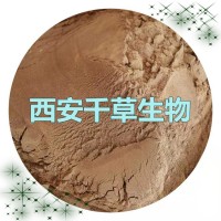 千層樓提取物千層樓濃縮粉千層樓浸膏粉