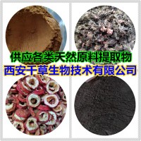 吊羅果提取物吊羅果濃縮粉吊羅果浸膏粉