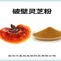 破壁靈芝粉 靈芝粉 生產廠家