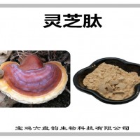 靈芝提取物 靈芝肽 廠家發(fā)貨