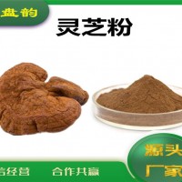 靈芝濃縮粉 靈芝粉 生產(chǎn)廠家