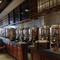 1000L啤酒設備糖化罐+發酵罐精釀啤酒設備廠家提供技術指導