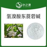 葉之源   氫溴酸東莨菪堿 廠家直銷 質量保證