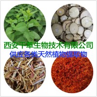 金老梅提取物金老梅濃縮粉金老梅浸膏粉