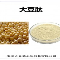 大豆提取物 工廠發(fā)貨 大豆肽