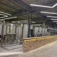河北釀酒設備廠家 定制商用500升啤酒設備 精釀啤酒設備價格