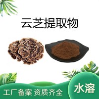 云芝多糖50% 源頭生產(chǎn)廠家 水溶云芝粉 云芝提取物