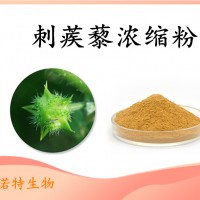 刺蒺藜濃縮粉 刺蒺藜提取物 全水溶 自有工廠 品質保障