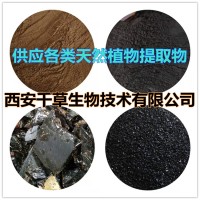 赪桐葉提取物赪桐葉濃縮粉赪桐葉浸膏粉 供應各類提取物