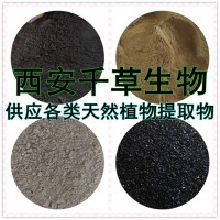 白絨草提取物白絨草濃縮粉白絨草浸膏粉 供應各類提取物