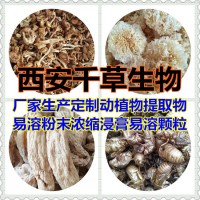 水溶性苦丁茶提取物苦丁茶粉 廠家供應多規格苦丁茶濃縮原液