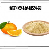 甜橙提取物 甜橙粉 食品原料粉 橙子提取物