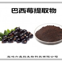 巴西莓提取物 巴西莓粉 固體飲料壓片糖果原料