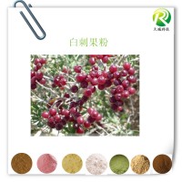 白刺果粉 白刺果速溶粉