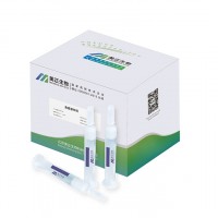 美正生物牛免疫球蛋白G親和柱