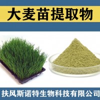 大麥苗提取物 大麥苗粉 食品級(jí)原料大麥苗速溶粉