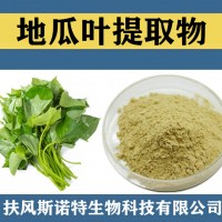 地瓜葉提取物 地瓜葉紅薯葉粉 食品級(jí)原料地瓜葉速溶粉