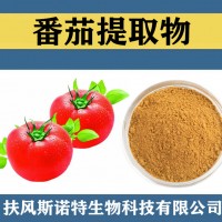 番茄提取物 番茄粉 食品級原料番茄速溶粉