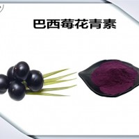 巴西莓提取物 巴西莓花青素 植物萃取物 六盤韻
