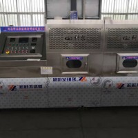 河南隧道式棉簽微波干燥設備