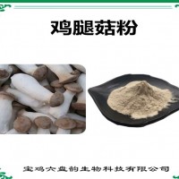 雞腿菇濃縮粉 水溶性食品原料 雞腿菇粉