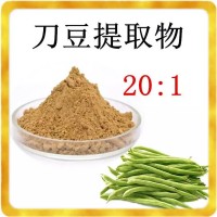 刀豆提取物 水溶性好 20:1刀豆粉 支持拿樣中