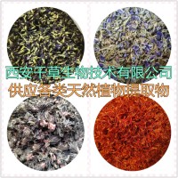 刺龍牙提取物刺龍牙濃縮汁粉刺龍牙浸膏粉 供應各類提取物