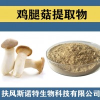 雞腿菇提取物 水溶性雞腿菇粉 食品級原料雞腿菇速溶粉