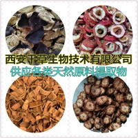 破骨風提取物破骨風濃縮汁粉破骨風浸膏粉