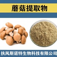 蘑菇提取物 水溶性蘑菇粉 食品級原料蘑菇速溶粉