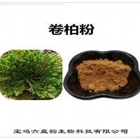 卷柏濃縮粉 多種規(guī)格比例 卷柏粉