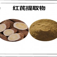 紅芪提取物 多種比例 紅芪粉 多序巖黃耆提取物
