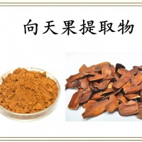 向天果提取物 斯諾特生產(chǎn) 資質(zhì)齊全 隨貨帶檢測報告 可試樣