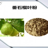 番石榴葉速溶粉 番石榴葉粉 植物萃取物 水溶性