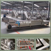 304不銹鋼蔬菜清洗機(jī) 大洋供應(yīng)精品不銹鋼果蔬清洗機(jī)