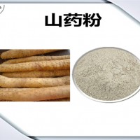 山藥濃縮粉 山藥粉 生產(chǎn)廠家