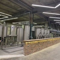 山東精釀啤酒設備 德國進口精釀啤酒設備 樂山啤酒設備