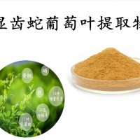 顯齒蛇葡萄葉提取物 水溶性好 源頭工廠 現貨包郵